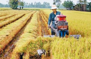 Dòng vốn FDI vào lĩnh vực nông nghiệp Việt Nam còn hạn chế